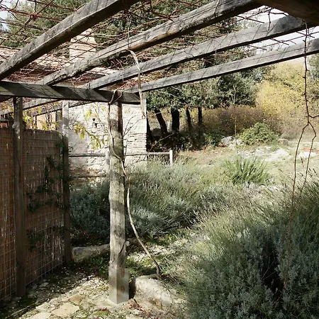 Surripa Çiftlik konaklama Amelia